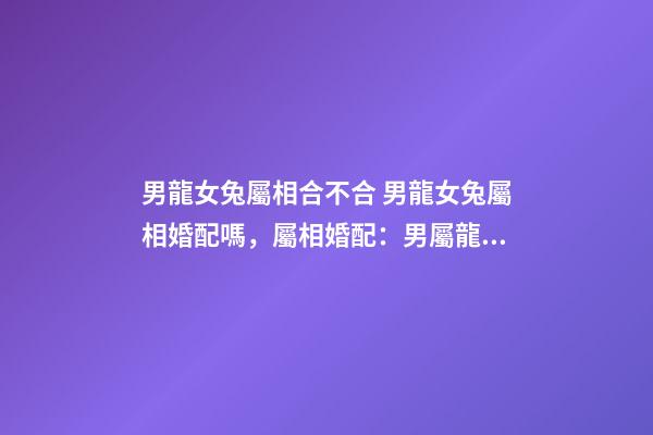男龍女兔屬相合不合 男龍女兔屬相婚配嗎，屬相婚配：男屬龍和女屬兔相配嗎-第1張-觀點-玄機派